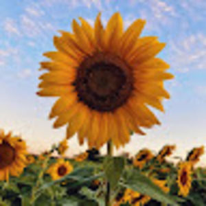 Meet your Posher, Tina